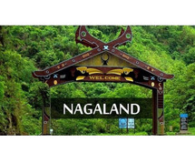 Latest Nagaland Tenders