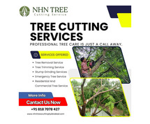 Top Tree Cutting Services in Hyderabad – Expert Care by NHN Trees Cutting