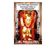 Top Online Astrologers For Love Problem in Jharkhand +91-9056562757