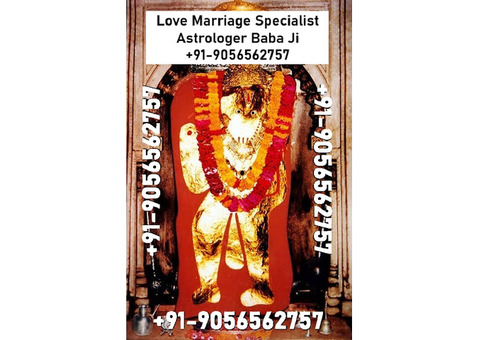 Top Online Astrologers For Love Problem in Nashik +91-9056562757