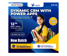 Online New Batch On Microsoft Dynamics CRM with Power Apps