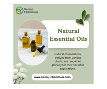 Natural Essential Oils Wholesalers in India