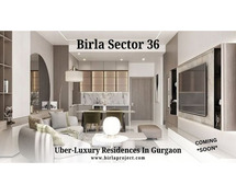 Birla Sector 36 Gurgaon - The Address Of High Life