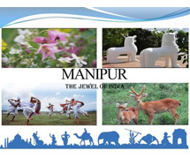 Government Tenders in Manipur