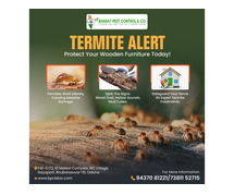 Termite Control Service in Bhubaneswar, Odisha