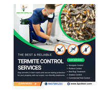 Best Termite Control Service in Bhubaneswar, Odisha