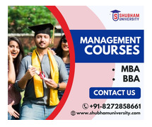 What are the career opportunities after completing a BBA from a college in Bhopal?