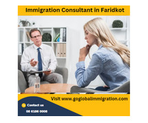 Get Immigration Consultants in Faridkot