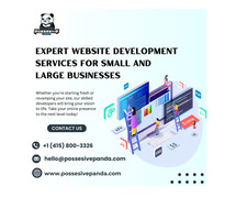 Expert Website Development Services for Small and Large Businesses