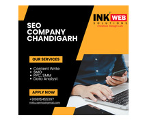 Maximize Your Online Presence : Seo Company in Chandigarh