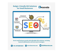 Budget-Friendly SEO Solutions for Small Businesses