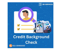 Unlock Trust with Credit Background Check Services by BD Services