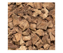 Rover Chicory Roasters: Dried Chicory Cube Manufacturer in India