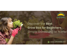 Discover the Best Grow Box for Beginners: Simple Gardening at Home!