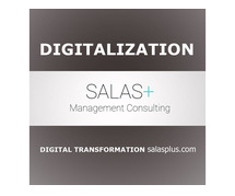 Digitalization, Digital Transformation and Project Management - salas plus