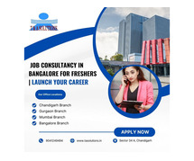 Job Consultancy in Bangalore for Freshers | Launch Your Career