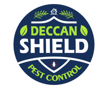 Best Termite Control Services In Hyderabad Near Me | DS