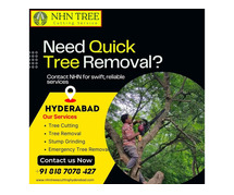 Top Tree Cutting Services in Hyderabad – Expert Care by NHN Trees Cutting