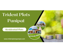 Trident Plots Panipat - Make Your Best Home