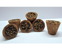 Buy Cow Dung Havan Cups Online from Jeeraya for Spiritual Rituals