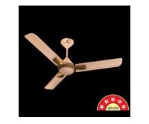 Frorer Decor BLDC Ceiling Fan - Energy Efficient & Stylish | Standard Electricals