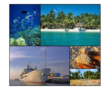 Latest Lakshadweep Tenders