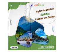 Kashmir Tour Packages | Felix Feria Travels