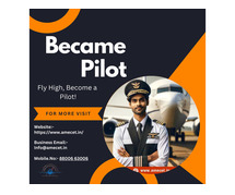 How to Become a Pilot Successfully