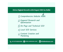 Drive Digital Growth with Expert SEO in Delhi