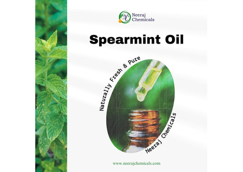 Spearmint Oil Wholesalers in India