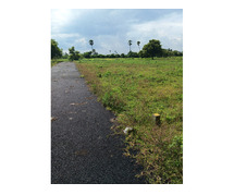 DTCP AND RERA APPROVED PLOTS FOR SALE AT VEPPAMBAATTU