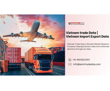 Vietnam AUTO LEVEL imports data 2024