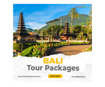 Bali Tour Packages | Felix Feria Travels