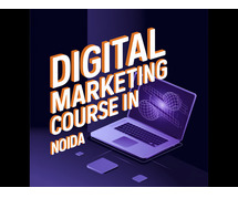 Digital Marketing Course in Noida