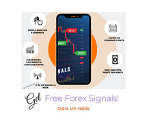 Ready To Trade Forex Like A Pro?