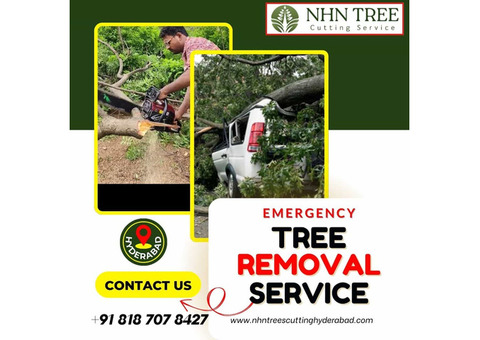 Fast & Reliable Emergency Tree Removal – Call NHN Trees Cutting Hyderabad Today!