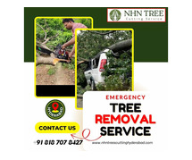 Fast & Reliable Emergency Tree Removal – Call NHN Trees Cutting Hyderabad Today!