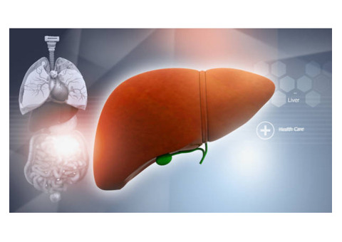 Liver Replacement Surgery | Maddadgar Foundation