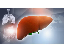 Liver Replacement Surgery | Maddadgar Foundation