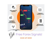 Ready to Trade Forex Like a Pro?