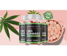 Harmony Flow CBD Gummies Review - Legit or Scam?