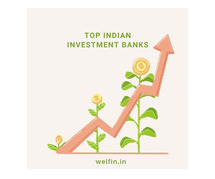 top indian investment banks