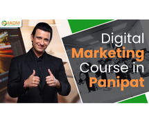 Digital Marketing Course in Panipat