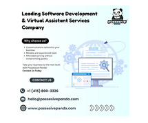 Leading Software Development & Virtual Assistant Services Company