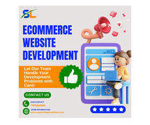 System Logic Software Solution Pvt Ltd - E- commerce website company in  Jaipur