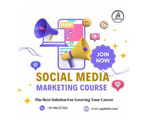 Ultimate Guide to Social Media Marketing: Strategies for Success by AGN HUB