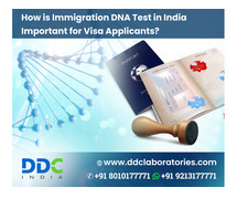 DNA Test for South Africa Immigration: Ensuring Accurate and Dependable Family Relations