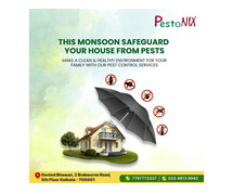 Best Pest control Company In Kolkata| Pest remover