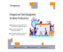 Stay Organized with Orangescrum Task Management Software