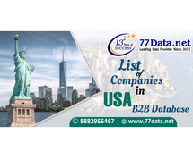 Download B2B database provider in USA